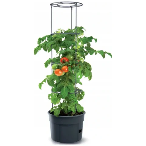 Doniczka do pomidorów Tomato Grower IPOM300