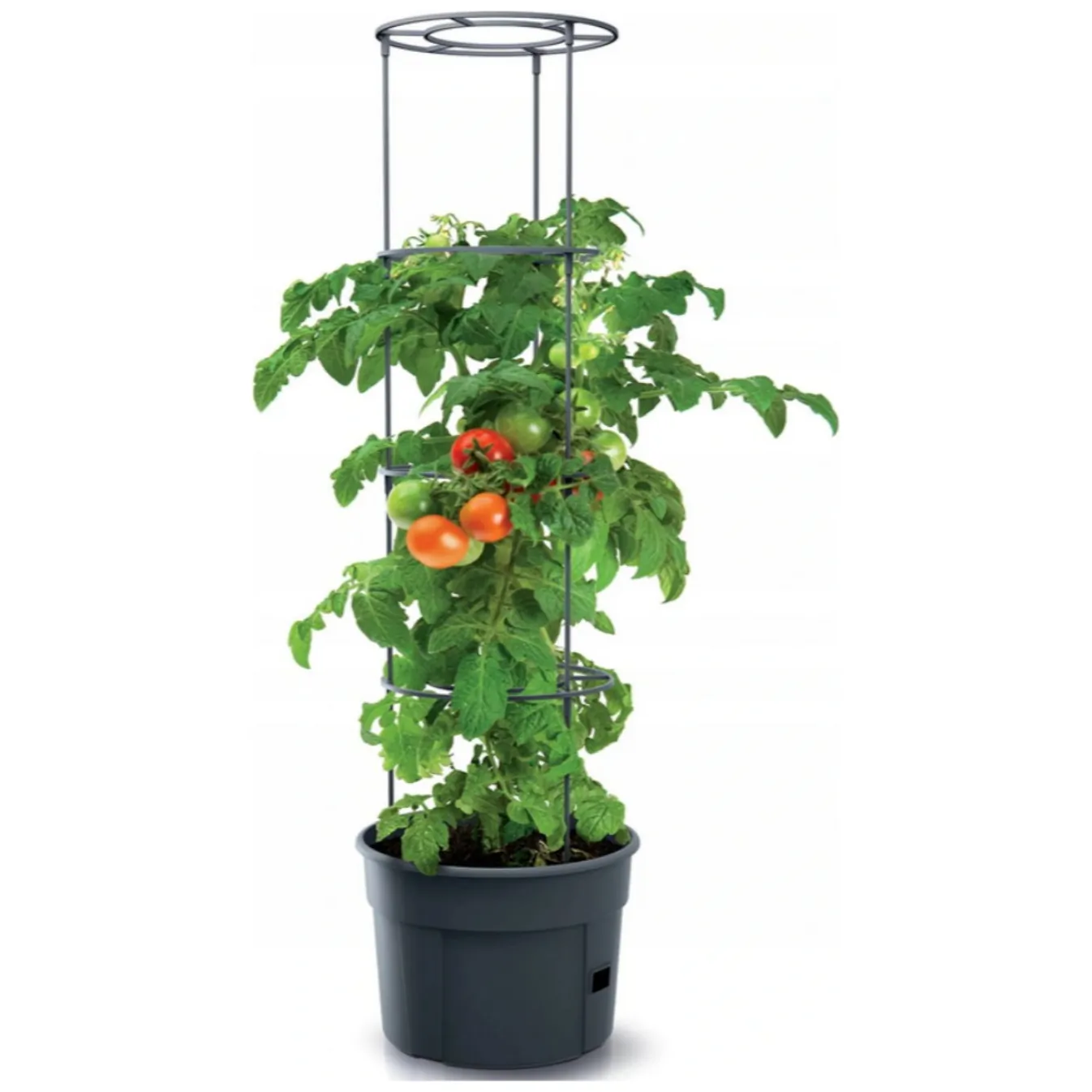 Doniczka do pomidorów Tomato Grower IPOM300