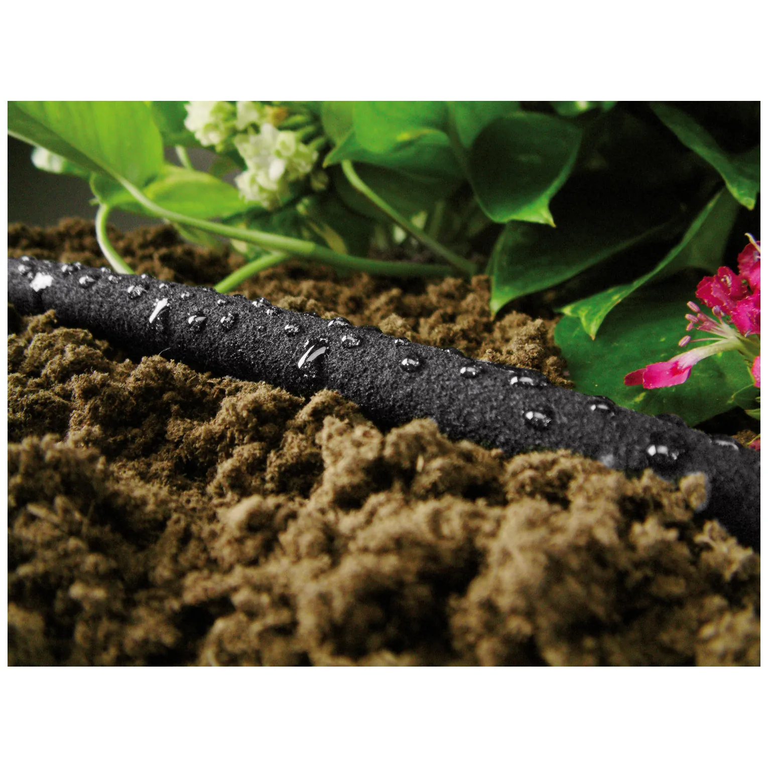 Wąż nawadniający Cellfast Drip 7,5m - obrazek 2