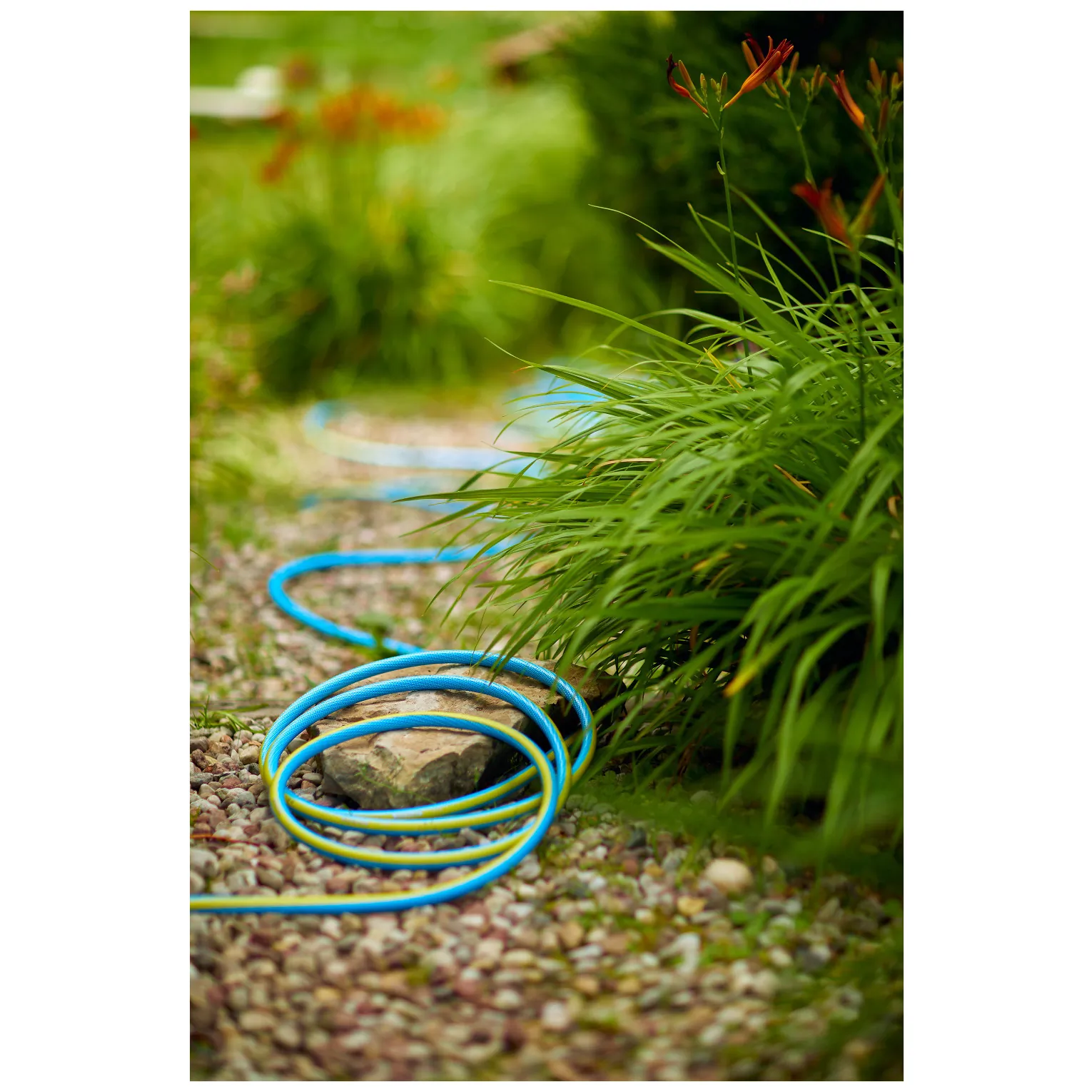 Wąż ogrodowy Vartco Professional 1/2" 50m - obrazek 4