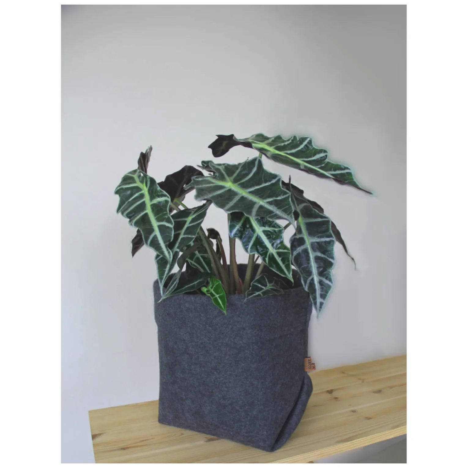 BERTONI EE Osłonka na doniczkę Simple XXL - 30 cm - obrazek 2