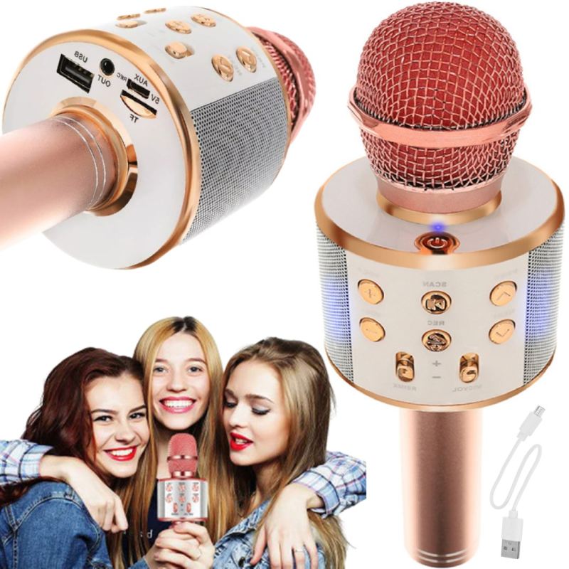 Mikrofon do karaoke bezprzewodowy bluetooth dla dzieci z usb z głośnikiem - obrazek 3